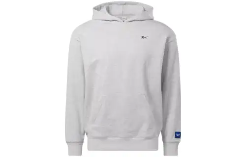 Reebok Sweatshirts Men's Gray Hooded Moderate Regular