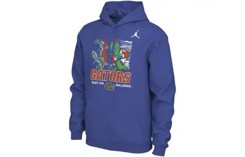 Jordan Sweatshirts Men's Royal Gaming Hooded Moderate Regular