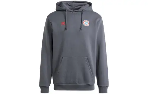 Adidas Originals FC Bayern Adidas X Originals Sweatshirts Men's Gray Hooded Moderate Regular