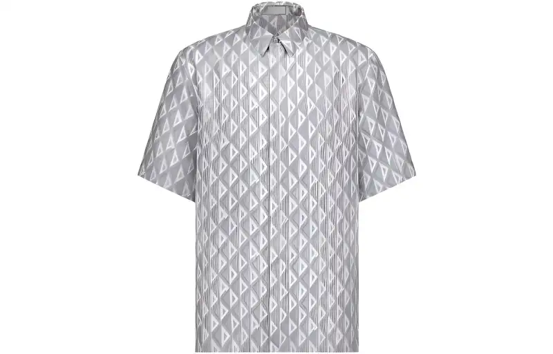 DIOR Shirts Men's Gray Lapel Moderate Shirt