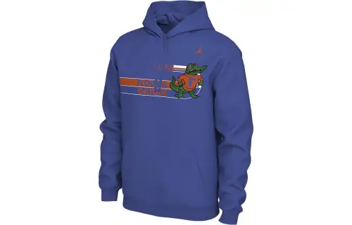 Jordan Sweatshirts Men's Blue Hooded Moderate Regular