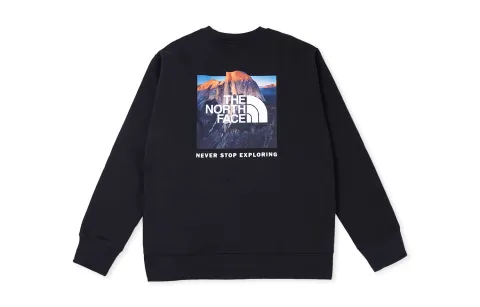 THE NORTH FACE NEVER STOP Sweatshirt Unisex Black