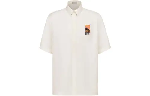 DIOR Quarterly New Products Shirts Men's Gray White Polo Collar Moderate