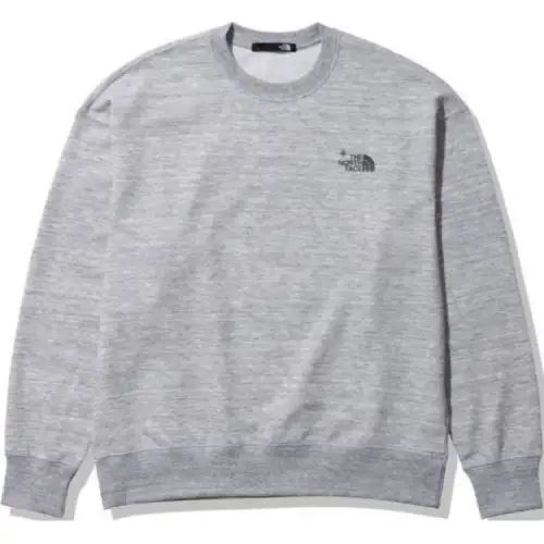 THE NORTH FACE Sweatshirt Men's Gray