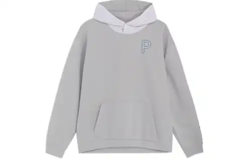 PUMA Sweatshirts Men's Gray Hooded Moderate Regular