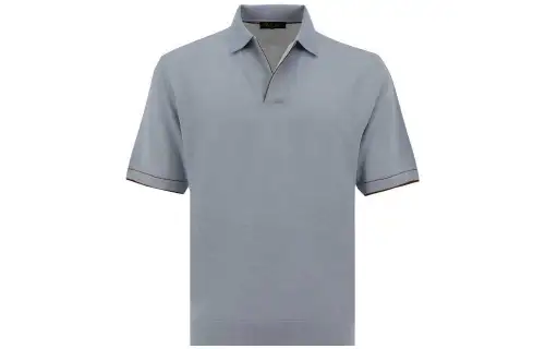 Loro Piana Polo Shirts Men's Gray Blue Polo Collar Moderate Straight Fit