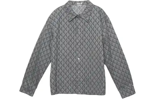 DIOR Shirts Men's Gray Lapel Moderate Other