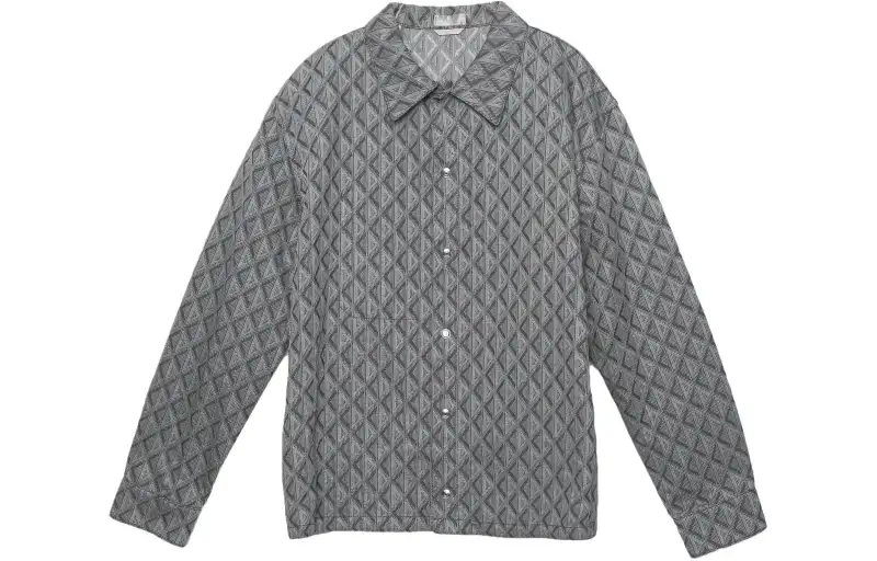DIOR Shirts Men's Gray Lapel Moderate Other