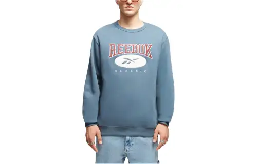Reebok Sweatshirts Unisex Light Blue Crew Neck Moderate Regular