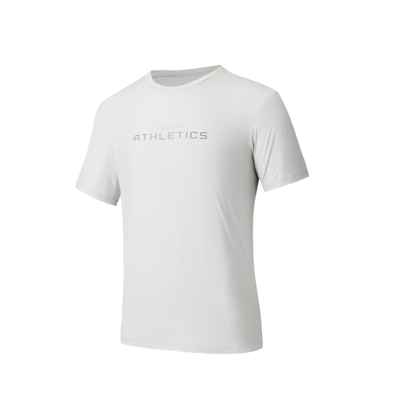 Мужская футболка Anta Спортивная (серая)