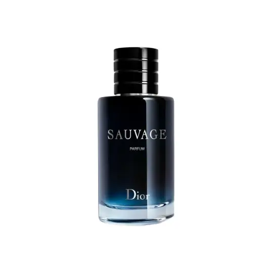 DIOR Wilderness Aroma Version Men's Perfumes Oriental Fougere Parfum