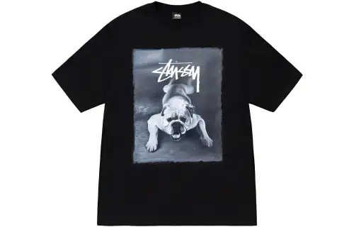 Stussy Bulldog Tee