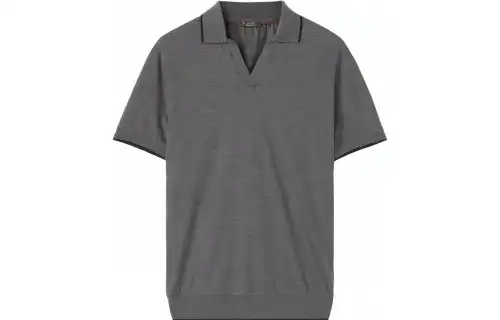 Loro Piana Polo Shirts Men's Gray Polo Collar Moderate Straight Fit