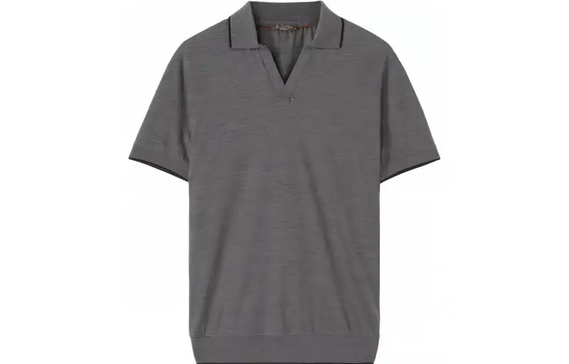 Loro Piana Polo Shirts Men's Gray Polo Collar Moderate Straight Fit