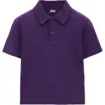 LOEWE SS25 Polo Shirt Men's Purple