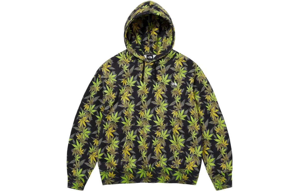 Supreme The North Face Leaf Hooded Sweatshirt