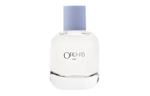 ZARA ORCHID