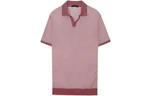 Loro Piana Polo Shirt Men's Purple
