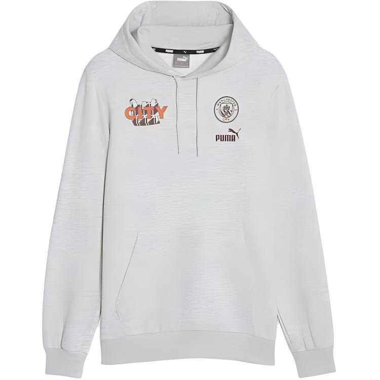 Мужское худи PUMA FtblCore (светло-серое)