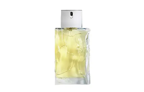 Sisley King's Leap Men's