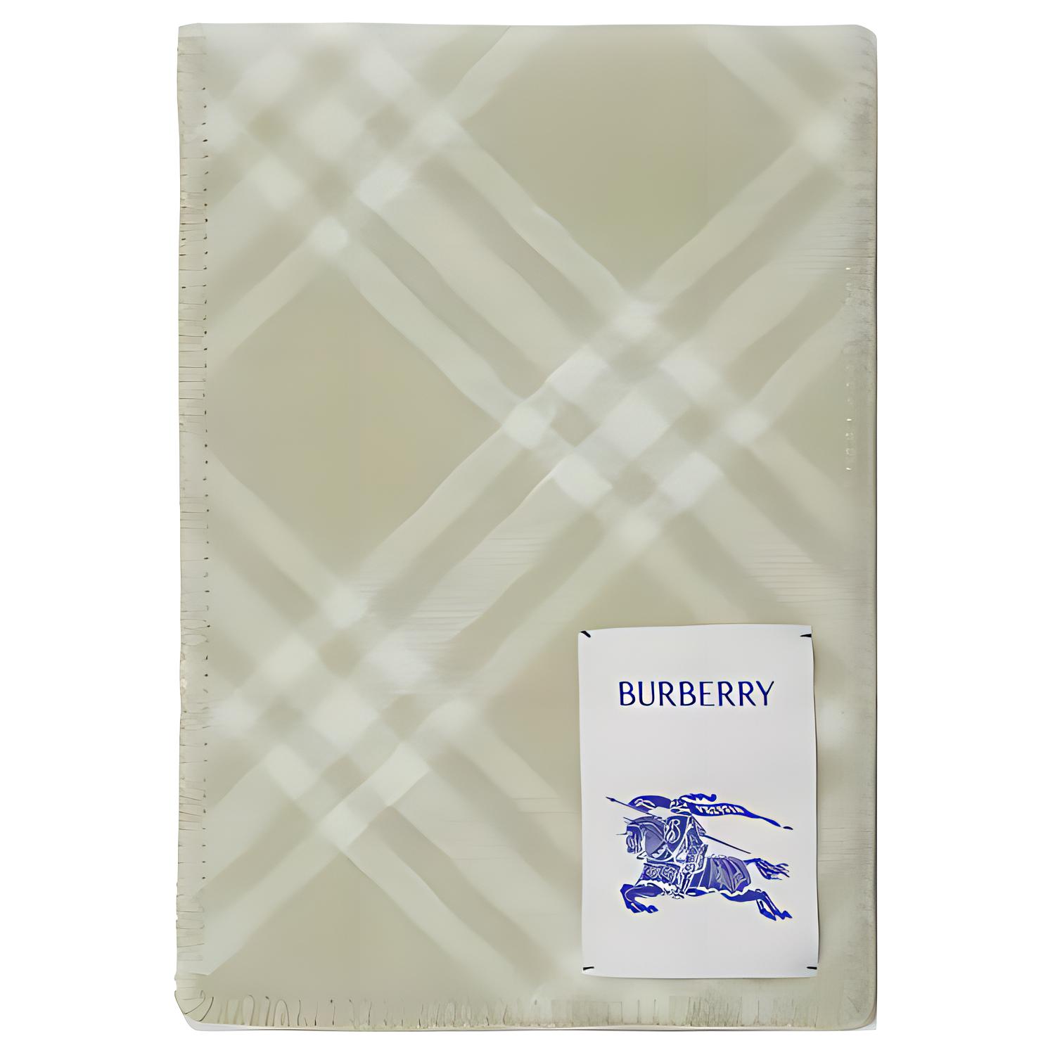 Женский шарф Burberry (серо-зеленый) — фото 3