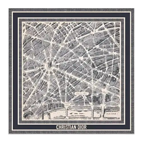 DIOR Silk Silk Scarves Women's Gray