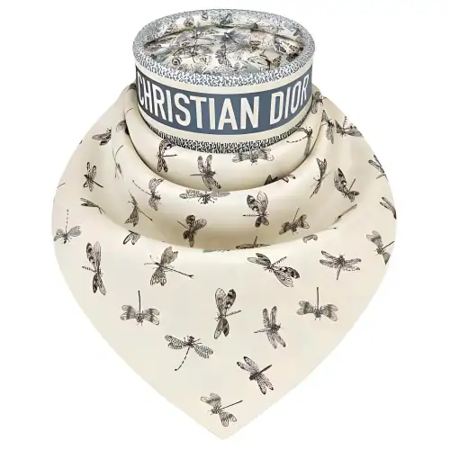 DIOR Silk Scarves Women's Beige