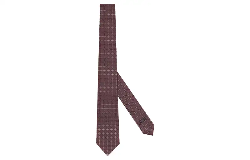 DIOR Ties Men's