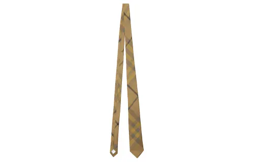 Burberry Ties Men's Yellow Brown