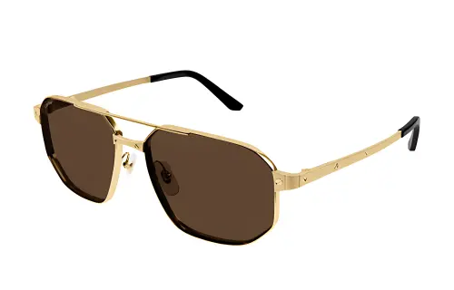 Cartier Santos De Cartier Pilot frame Sunglasses