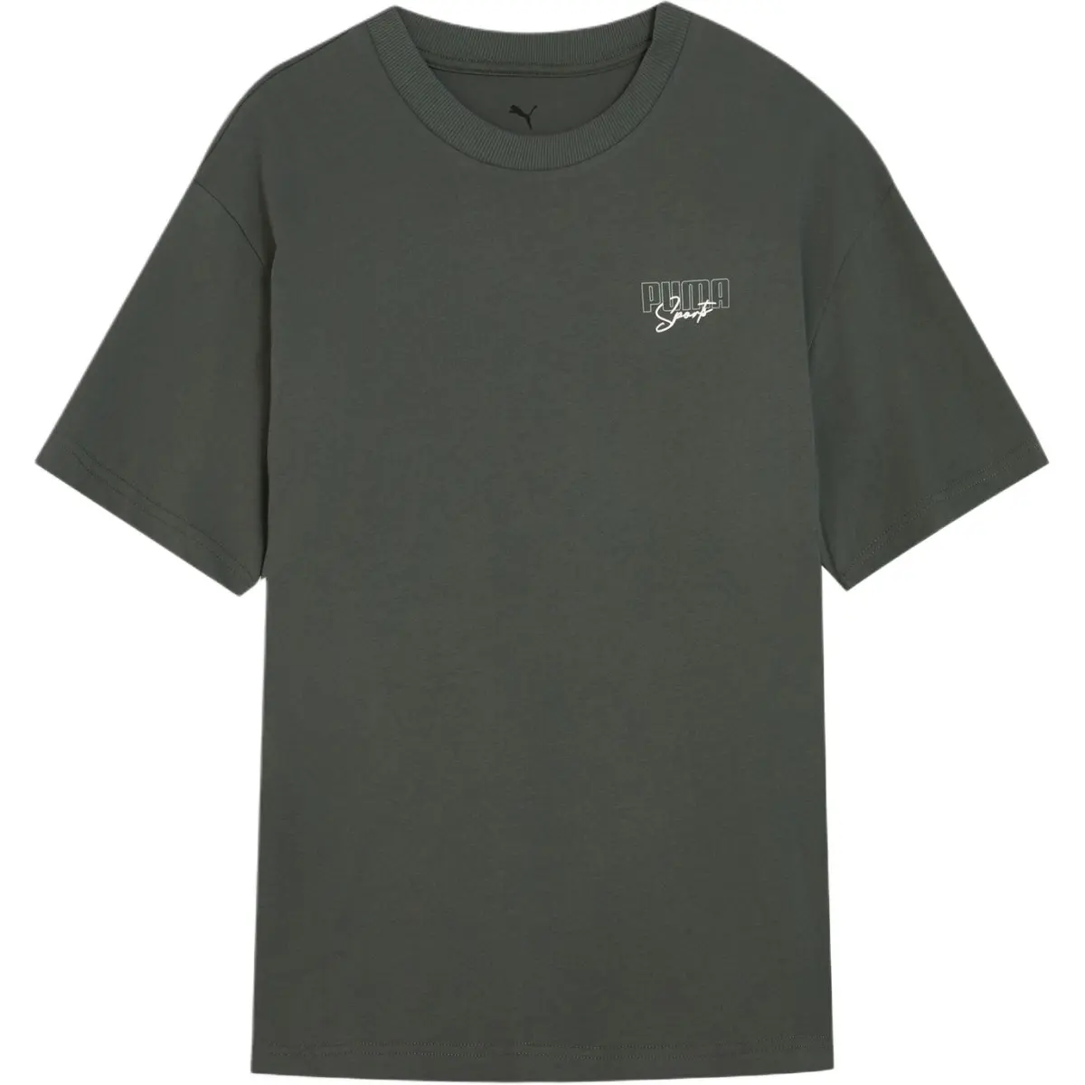 PUMA Elevatedgraphic SS25 T Shirt Men's Mineral Gray 21