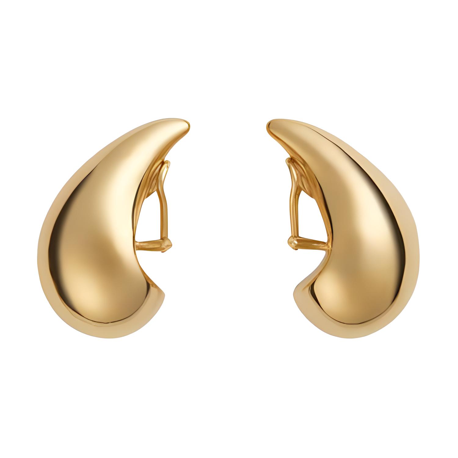 Bottega Veneta Drop Shaped Earrings