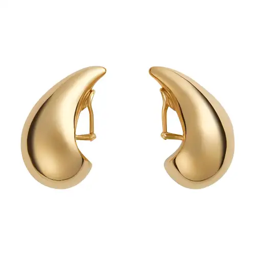 Bottega Veneta Drop Shaped Earrings