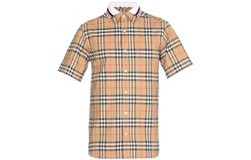 Burberry Shirts Men's Brown Moderate