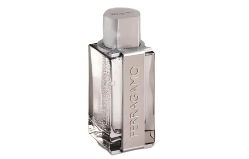 Ferragamo Exquisite Tone