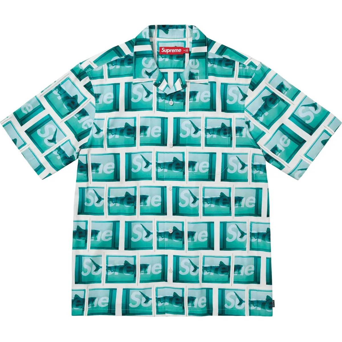 Supreme Damien Hirst S/S Shirt