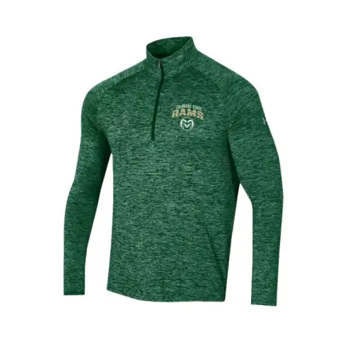 Under Armour TechCollegiate Sweatshirt Men's Green
