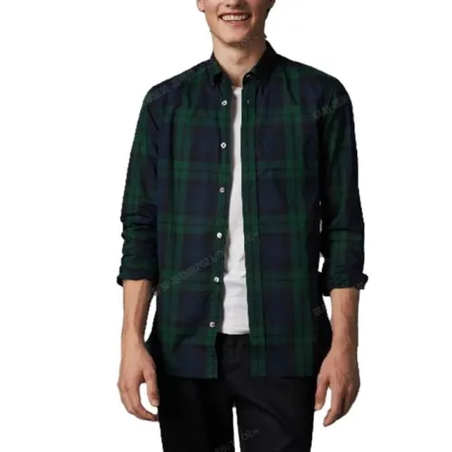 Burberry Shirts Men's Green Lapel Moderate Other