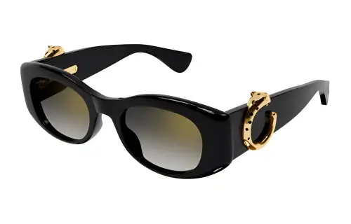 Cartier Cat Eye Frame Sunglasses