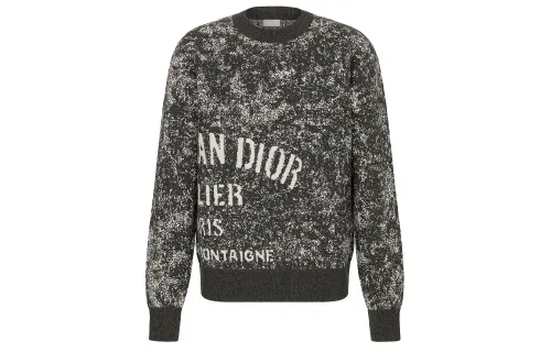 DIOR Quarterly New Products Sweaters Men's Gray Crew Neck Moderate