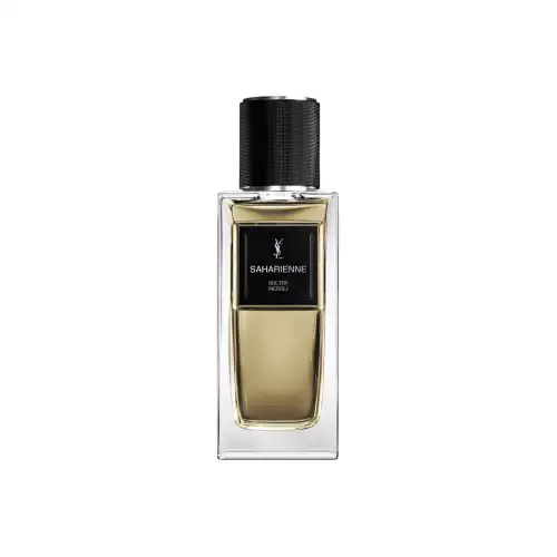 SAINT LAURENT Hunting Set