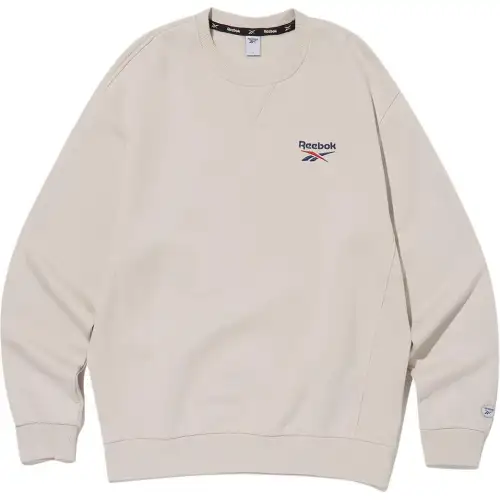 Reebok Sweatshirts Unisex Beige Crew Neck Moderate Regular