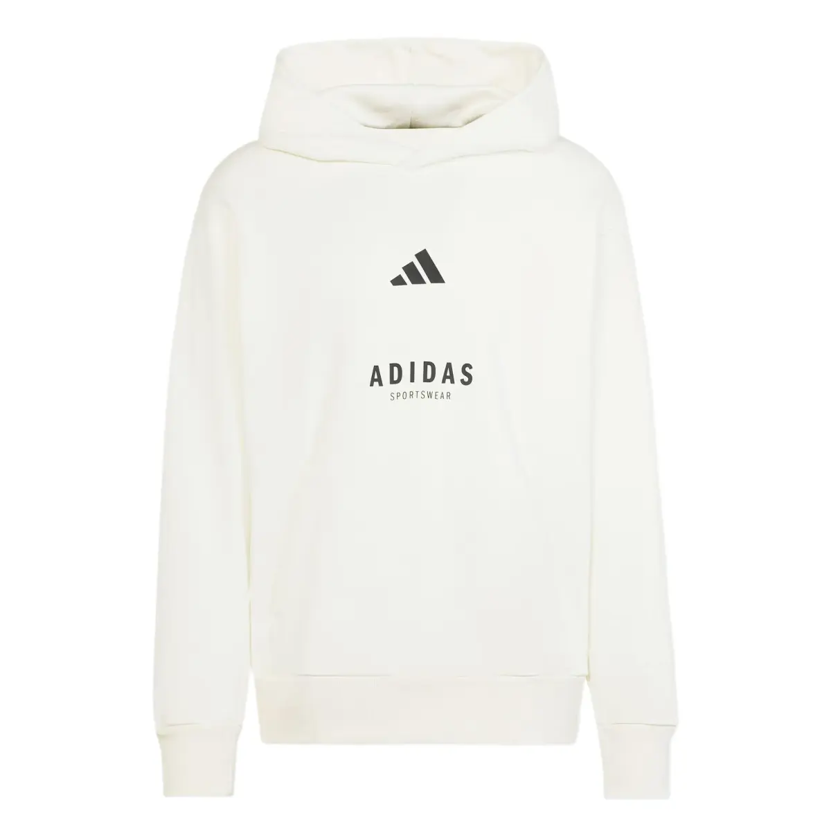 Adidas All Szn Fleece Graphic Hoodie