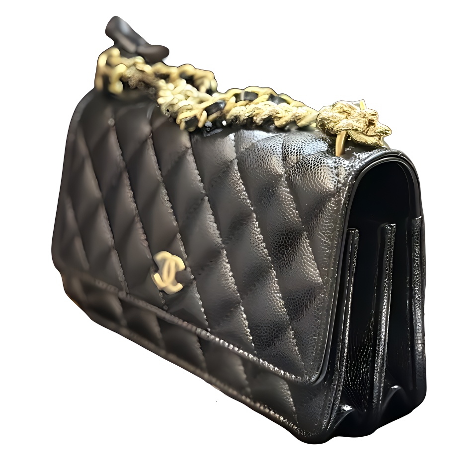 Женская сумка Chanel WOC 24S (черная) — фото 4