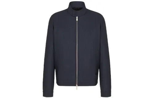 DIOR Quarterly New Products Sweaters Men's Blue Stand Collar Moderate Cardigan