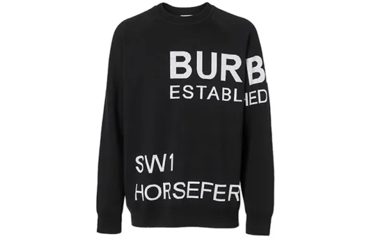 Burberry Sweaters Men's Crew Neck Moderate Other