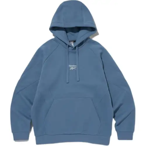 Reebok Sweatshirts Unisex Blue Hooded Moderate