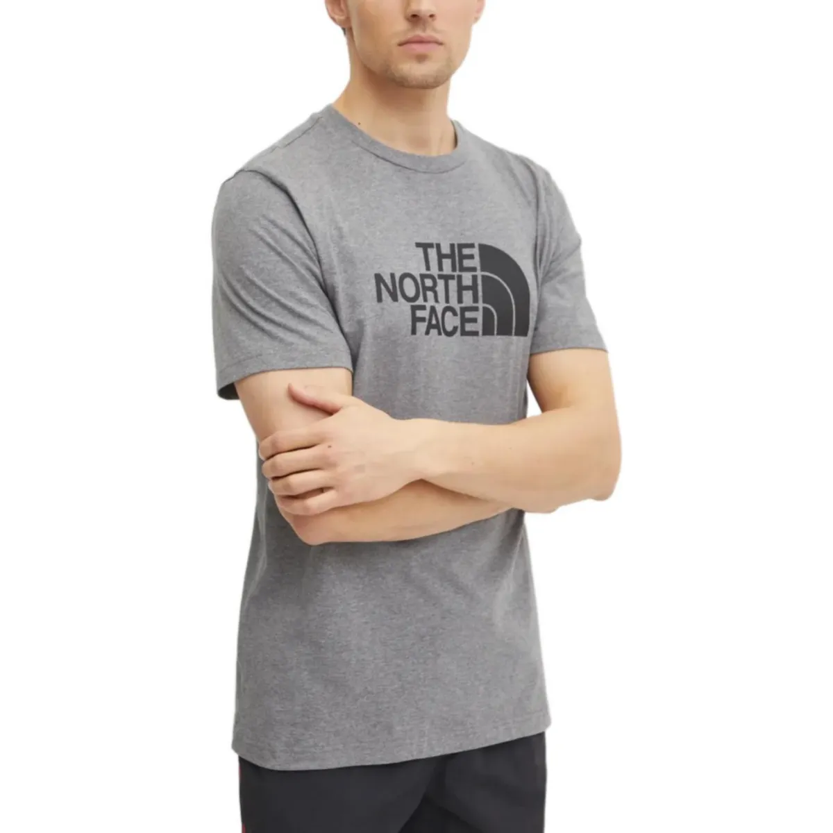 THE NORTH FACE T Shirt Men's Gray