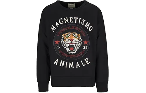 GUCCI Sweaters Men's Crew Neck Moderate Other