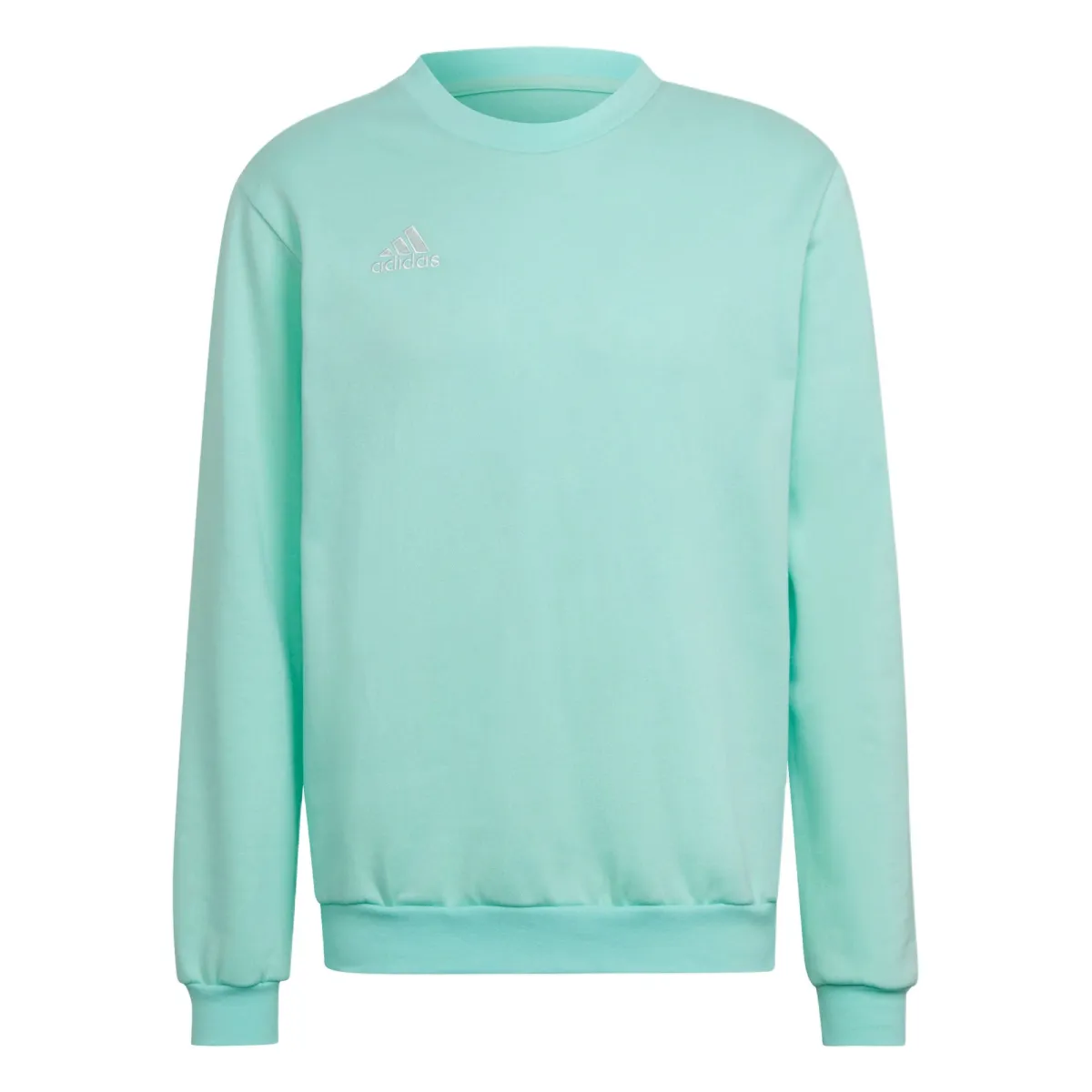 Adidas Entrada 22 Sweatshirt Unisex Turquoise